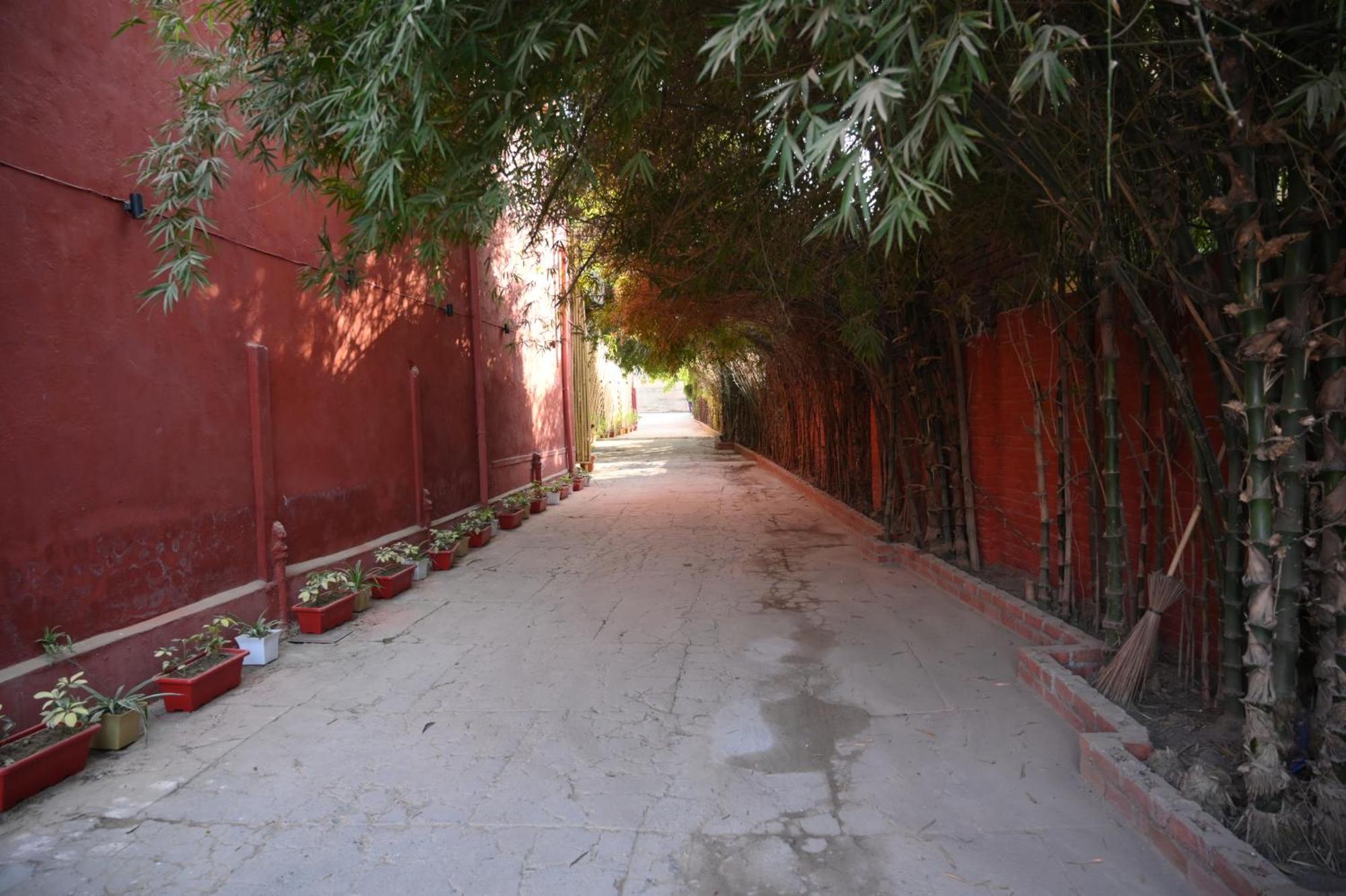 Raja Ka Bagh - A Boutique Hotel Nurpur Dış mekan fotoğraf